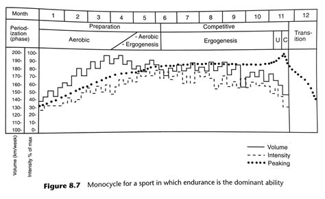 tudor bompa periodization pdf|anatomical adaptation phase.